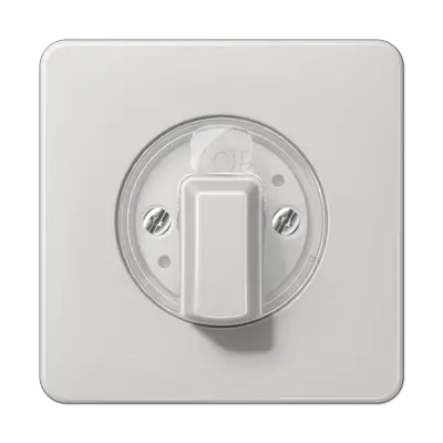 JUNG draaiknop tbv jaloezie of draaischakelaar CD500 lichtgrijs (CD 1541 LG)