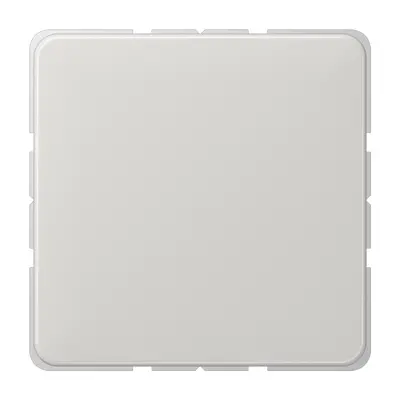 JUNG centraalplaat blinddeksel incl. draagframe CD500 lichtgrijs (CD 594-0 LG)