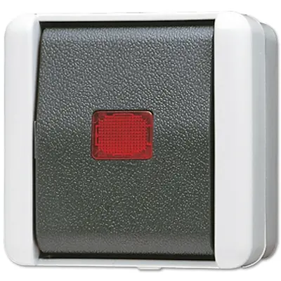 JUNG wisselschakelaar met controleverlichting 10A met onderbak IP44 WG800 (806 KOW)