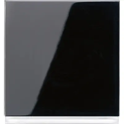 JUNG Lichtsign. Inbouw L (LS 539-O SW LEDW)