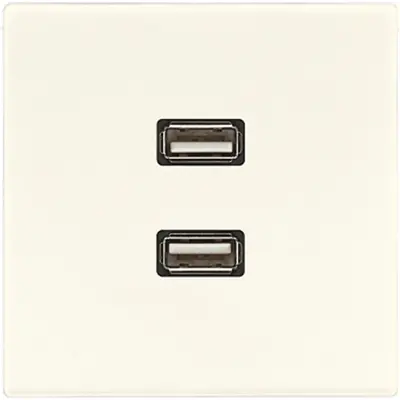 JUNG centraalplaat met draagring en 2 x USB-A naar USB-A koppeling LS990 creme (MA LS 1153)