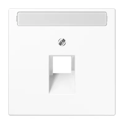 JUNG centraalplaat 1-voudig met tekstvenster tbv RJ45 wandcontactdoos LS990 alpine wit (LS 969-1 NAUA WW)