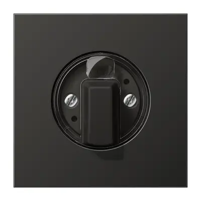JUNG draaiknop tbv jaloezie of draaischakelaar LS990 antraciet gelakt aluminium (AL 1941 AN)