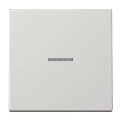 JUNG schakelwip met controlevenster LS990 lichtgrijs (LS 990 KO5 LG)