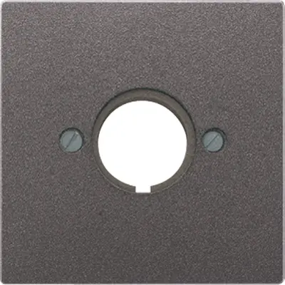 JUNG Centraalplaat (AL 2964 AN)