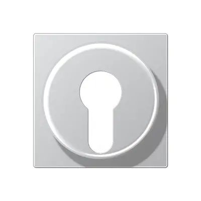 JUNG sleutel centraalplaat tbv jaloezie-sleutelschakelaar A-range aluminium (A 528 PL AL)