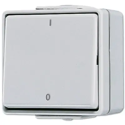 JUNG 2-polige schakelaar 10A met onderbak IP44 WG600 (602 W)