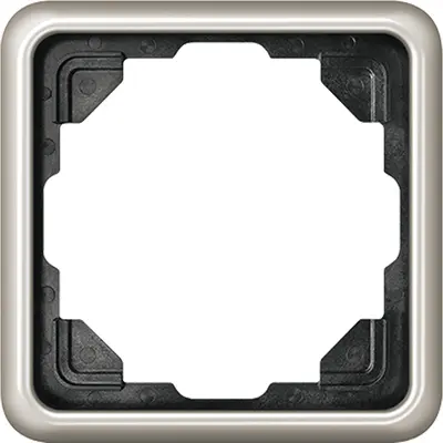 JUNG afdekraam 1-voudig CD500 platina (CD 581 PT)