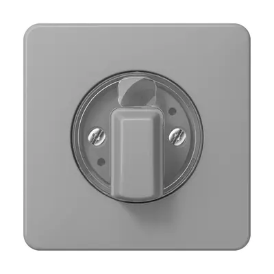 JUNG draaiknop tbv jaloezie of draaischakelaar CD500 grijs (CD 1541 GR)