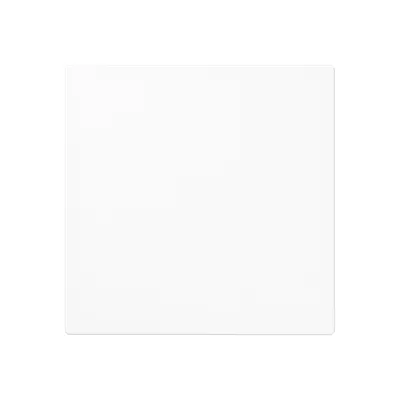 JUNG centraalplaat blinddeksel zonder draagring (A 594-0 PL WW)