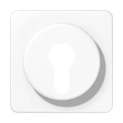 JUNG centraalplaat voor sleutelschakelaar CD500 alpine wit (CD 528 WW)