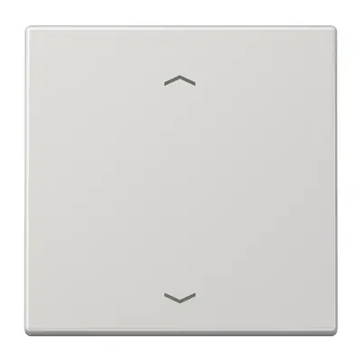 JUNG EnOcean draadloze wandzender 2-kanaals met pijlsymbolen LS990 lichtgrijs (ENO LS 990 P LG)