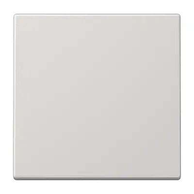 JUNG EnOcean draadloze wandzender 2-kanaals LS990 lichtgrijs (ENO LS 990 LG)