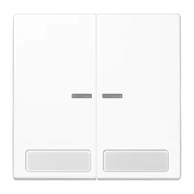 JUNG schakelwip 2-voudig met controlevenster en tekstvenster LS990 alpine wit (LS 995 NA KO5 WW)