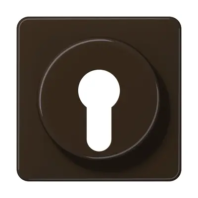 JUNG centraalplaat voor sleutelschakelaar CD500 bruin (CD 528 BR)