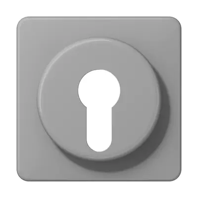 JUNG centraalplaat voor sleutelschakelaar CD500 grijs (CD 528 GR)