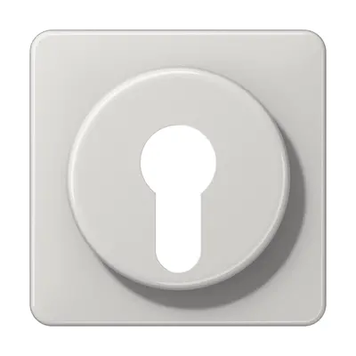 JUNG centraalplaat voor sleutelschakelaar CD500 lichtgrijs (CD 528 LG)