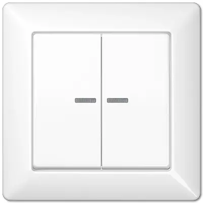 JUNG schakelwip 2-voudig met controlevenster en afdekraam AS500 alpine wit (AS 590-5 KO5 WW)