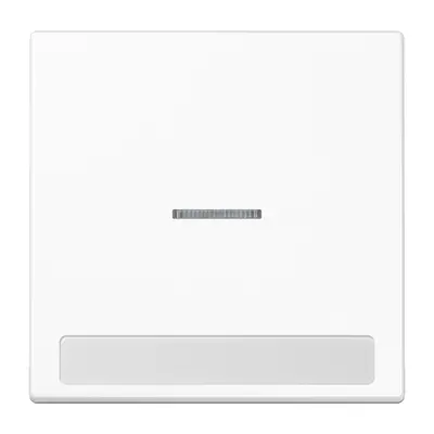 JUNG schakelwip met controlevenster en tekstvenster LS990 alpine wit (LS 990 NAKO5 WW)