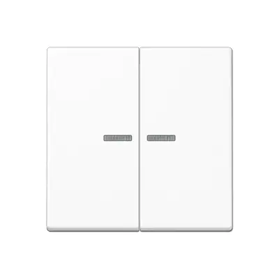 JUNG schakelwip 2-voudig met controlevenster A-range alpine wit (A 595 BF KO5 WW)