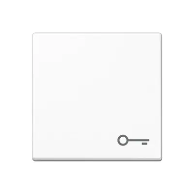 JUNG schakelwip met sleutelsymbool A-range alpine wit (A 590 BF T WW)