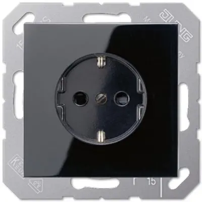 JUNG Wcd (A 1520 BFKIPL SW)