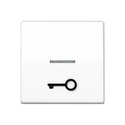 JUNG schakelwip met opgelegd sleutelsymbool en controlevenster AS500 alpine wit (AS 591 T1KO5 WW)