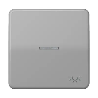 JUNG schakelwip met controlevenster met lichtsymbool CD500 grijs (CD 590 KO5L GR)