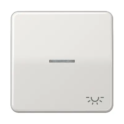 JUNG schakelwip met lichtsymbool en controlevenster CD500 lichtgrijs (CD 590 KO5L LG)