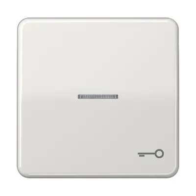 JUNG schakelwip met sleutelsymbool en controlevenster CD500 lichtgrijs (CD 590 KO5T LG)