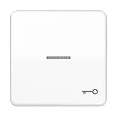 JUNG schakelwip met sleutelsymbool en controlevenster CD500 alpine wit (CD 590 KO5T WW)