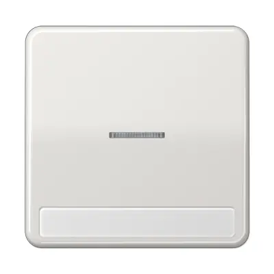 JUNG schakelwip met controlevenster en tekstvenster CD500 lichtgrijs (CD 590 NAKO5 LG)
