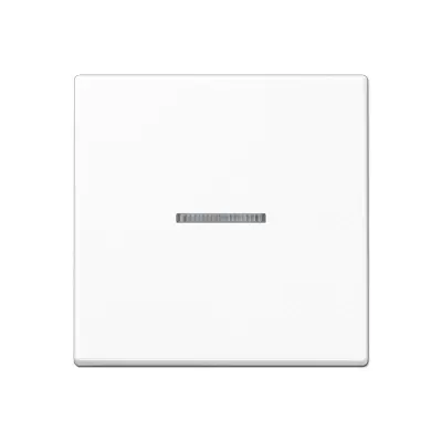 JUNG schakelwip met controlevenster A-range alpine wit (A 590 BF KO5 WW)