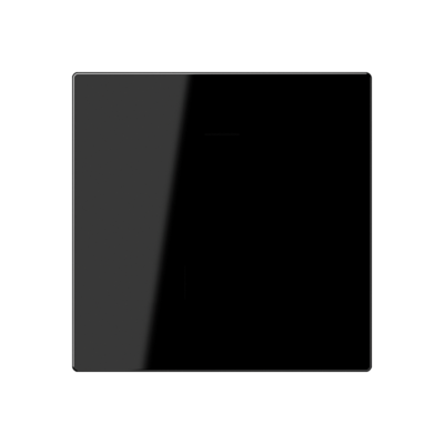 JUNG Overig Zwart (A 594-0 PL SW)