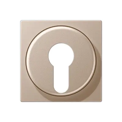 JUNG sleutel centraalplaat tbv jaloezie-sleutelschakelaar A-range champagne (A 528 PL CH)