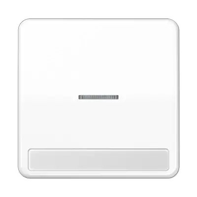 JUNG schakelwip met controlevenster en tekstvenster CD500 alpine wit (CD 590 NAKO5 WW)
