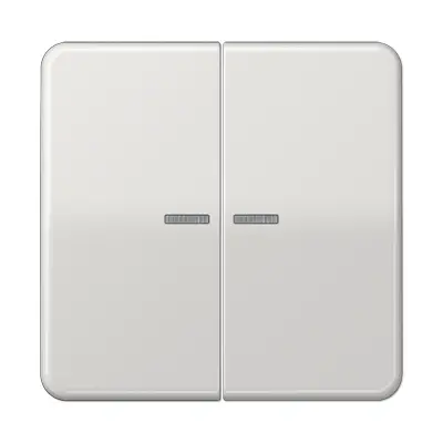 JUNG schakelwip 2-voudig met controlevenster CD500 lichtgrijs (CD 595 KO5 LG)