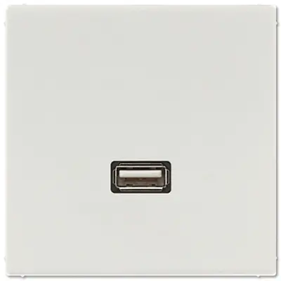 JUNG centraalplaat met draagring en USB-A naar USB-A koppeling LS990 lichtgrijs (MA LS 1122 LG)