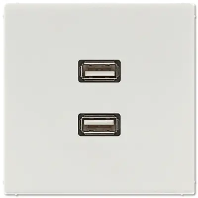 JUNG centraalplaat met draagring en 2 x USB-A naar USB-A koppeling LS990 lichtgrijs (MA LS 1153 LG)