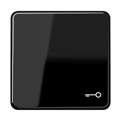 JUNG schakelwip met sleutelsymbool CD500 zwart glans (CD 590 T SW)