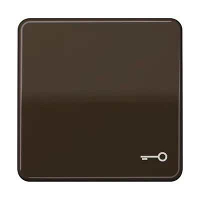 JUNG schakelwip met sleutelsymbool CD500 bruin (CD 590 T BR)