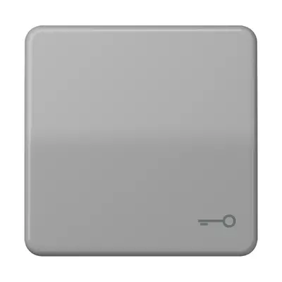 JUNG schakelwip met sleutelsymbool CD500 grijs (CD 590 T GR)