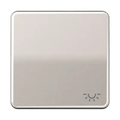 JUNG schakelwip met lichtsymbool CD500 platina (CD 590 L PT)