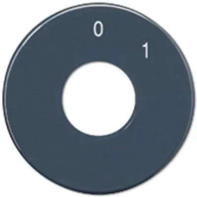 JUNG schijf met schaalindeling voor draaischakelaar 1101-20 antraciet (SKS 1101-20)