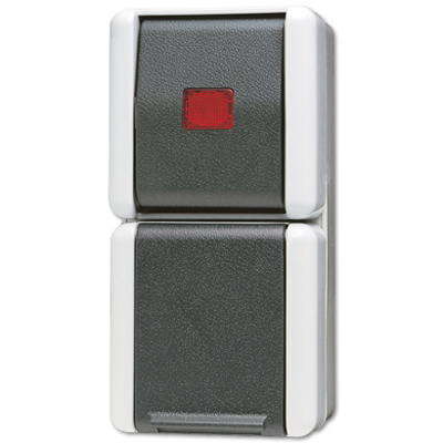 JUNG combinatieschakelaar met controlevenster opbouw IP44 verticaal WG800 (876 KOW)