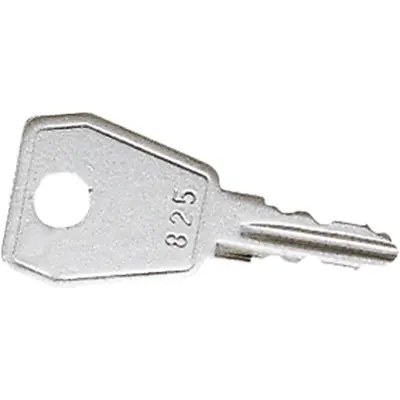 JUNG sleutel type 808 voor klapdeksels met slot (808 SL)