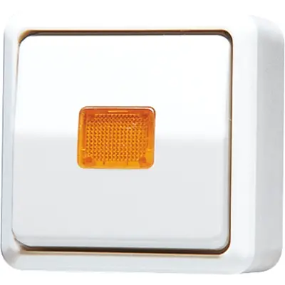 JUNG opbouw wisselschakelaar met controlelamp 10A AP600 alpine wit (606 KOA WW)