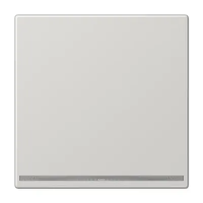 JUNG LED-orientatieverlichting zonder lichtsensor LS990 lichtgrijs (LS 1539-OO LG LNW)