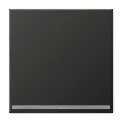 JUNG LED-orientatieverlichting zonder lichtsensor LS990 antraciet gelakt aluminium (AL 1539-OO AN LNW)