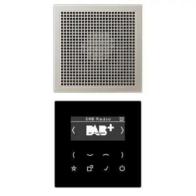 JUNG smart radio DAB+ set met 1 luidspreker LS990 edelstaal (DAB ES1)
